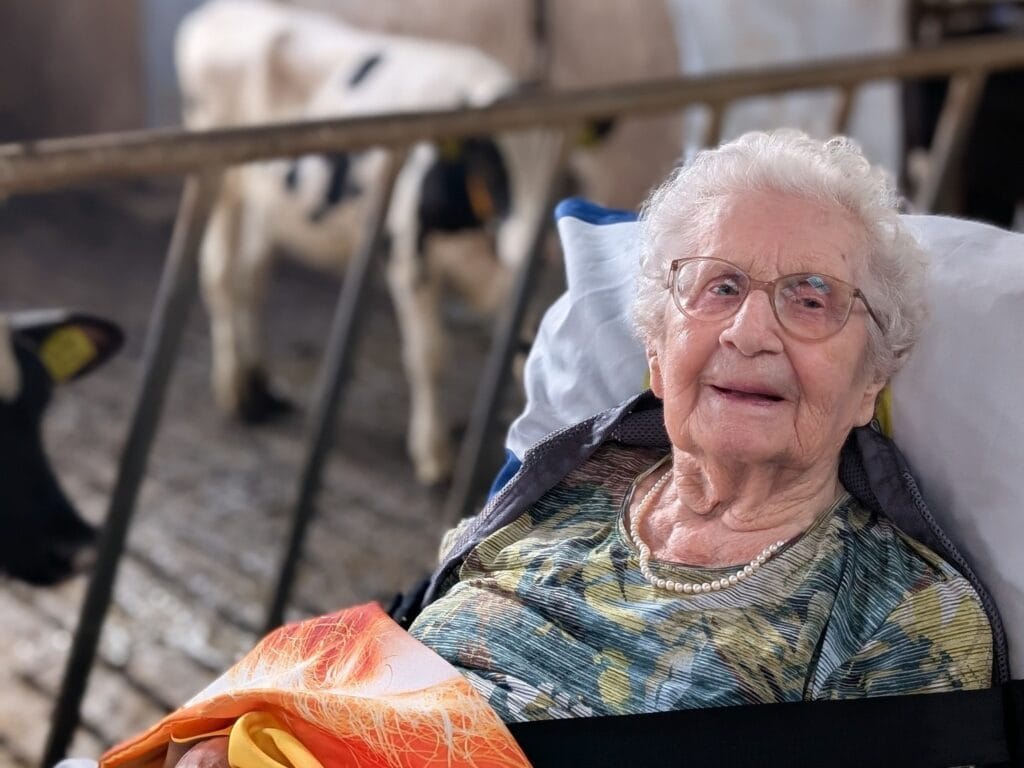Naar Plekken Van Vroeger