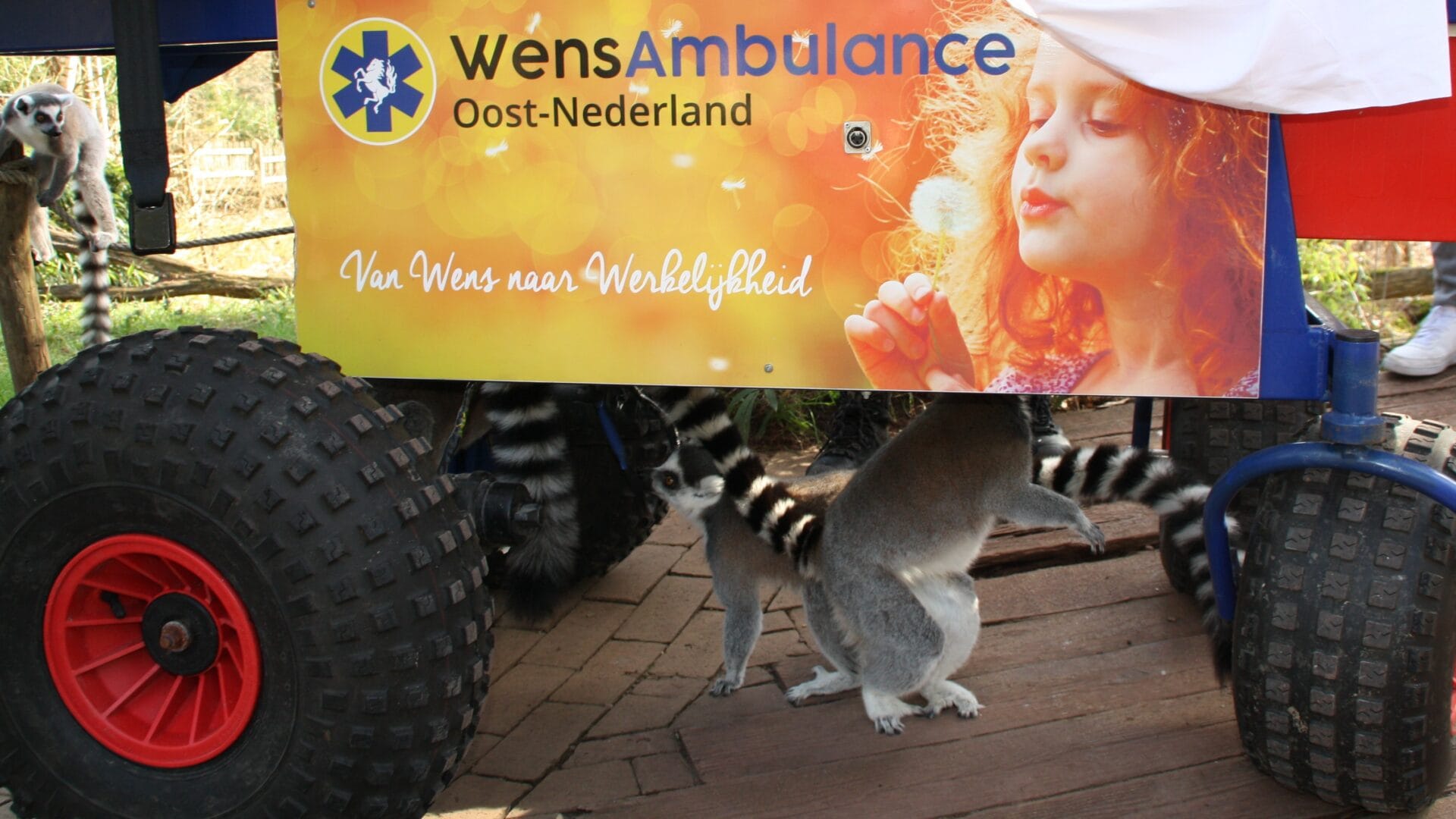 Met Tante Naar De Apenheul Wensambulance Oost Nederland (2)