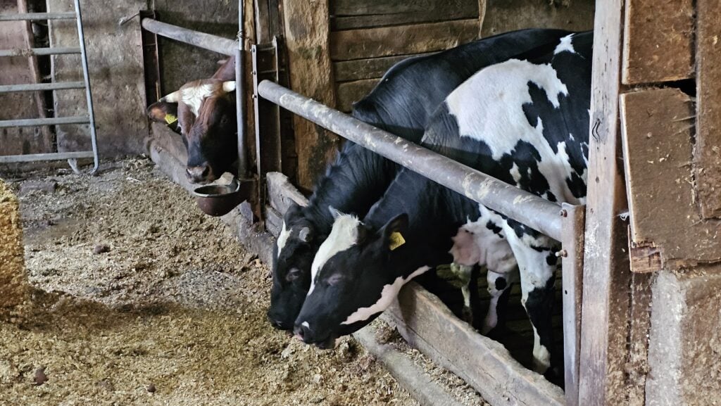 Terug Naar Mijn Boerderij Wensambulance Oost Nederland (3)