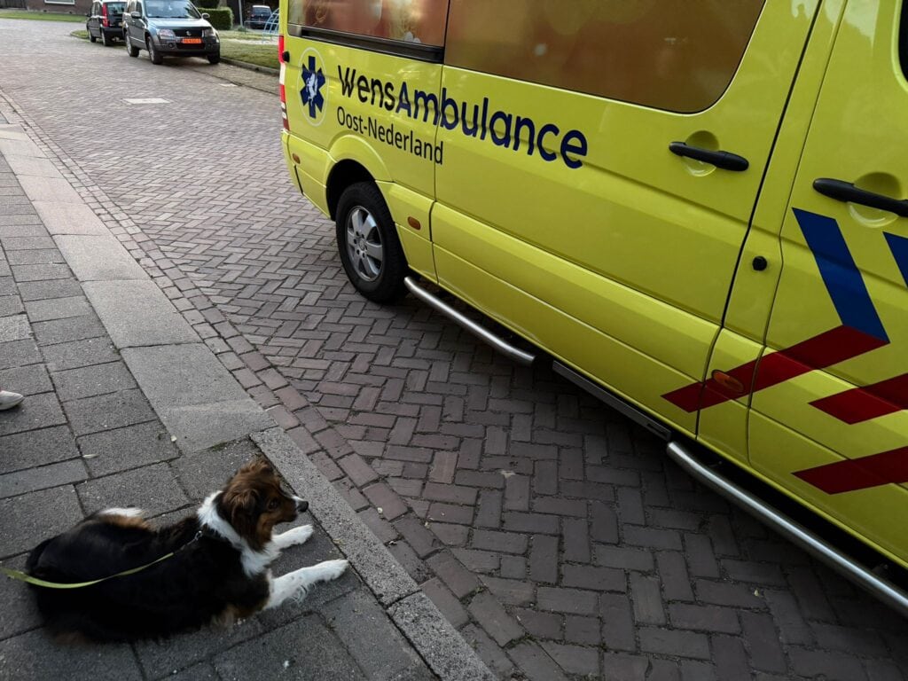 Wensambulance Oost Nederland Bezoekje Aan Huis En Haar Hondje 1