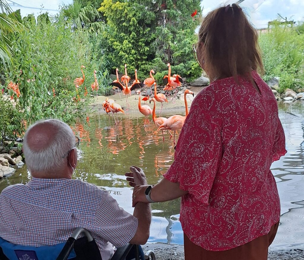 Wensambulance Oost Nederland - samen genieten van de flamingo's bij pantropica