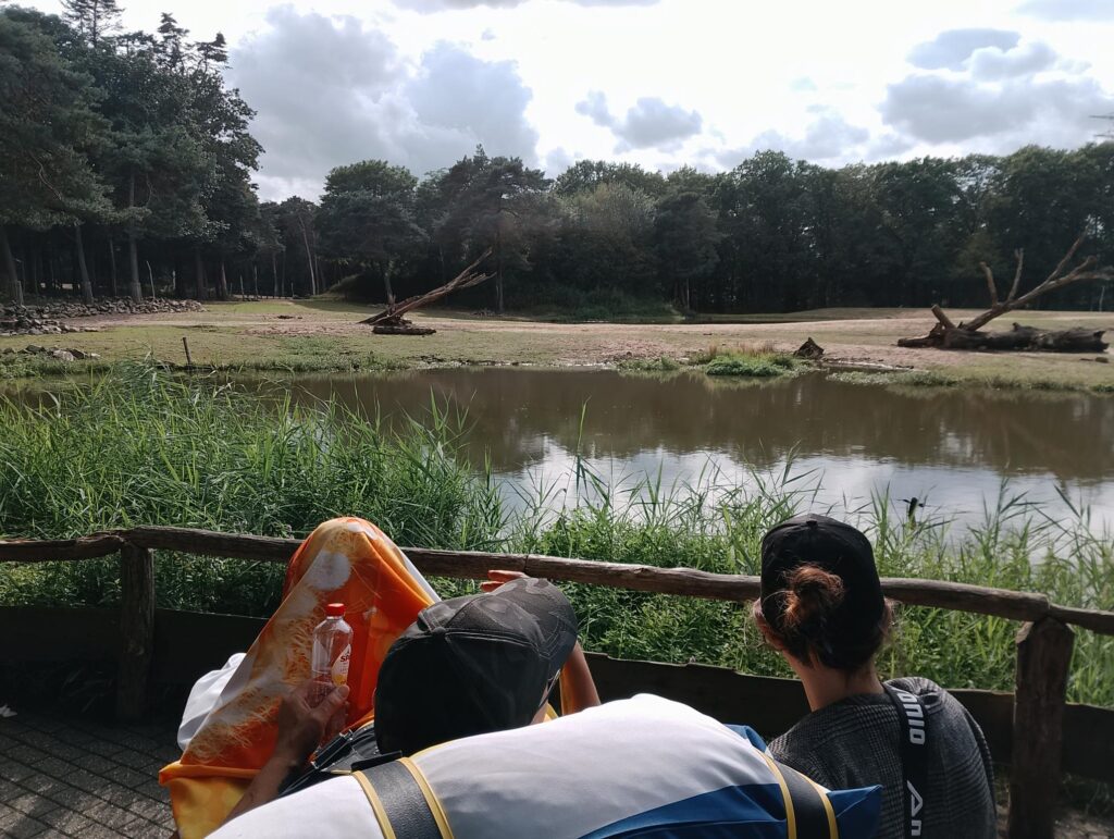 Wensambulance Oost Nederland Aardvarkens In Burgers Zoo (2)